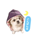 たろしん（個別スタンプ：4）