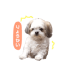 たろしん（個別スタンプ：5）