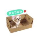 たろしん（個別スタンプ：6）