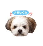 たろしん（個別スタンプ：7）