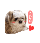たろしん（個別スタンプ：9）