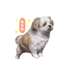 たろしん（個別スタンプ：13）