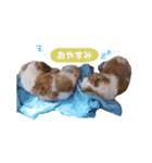 たろしん（個別スタンプ：16）