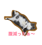 こはるちゃん女の子（個別スタンプ：2）