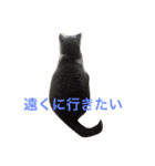 こはるちゃん女の子（個別スタンプ：3）