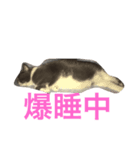 こはるちゃん女の子（個別スタンプ：4）