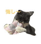 こはるちゃん女の子（個別スタンプ：7）