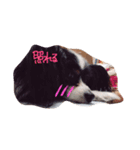 maroshoco club（個別スタンプ：5）