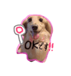 ダックスフンドハッピーの毎日使える会話1（個別スタンプ：9）