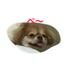 だんごどん♡（個別スタンプ：4）