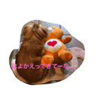 だんごどん♡（個別スタンプ：8）