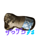 えんちゃんの日常でスタンプ作成しました（個別スタンプ：2）