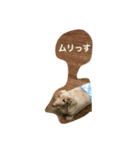 えんちゃんの日常でスタンプ作成しました（個別スタンプ：8）