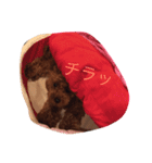 可愛いトイプードルの媛❣️（個別スタンプ：3）