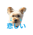 Happy510（個別スタンプ：3）