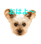 Happy510（個別スタンプ：8）