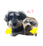 ラニとカイ（個別スタンプ：1）