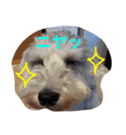 ラニとカイ（個別スタンプ：2）
