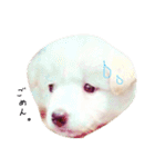レオとルル。（個別スタンプ：4）