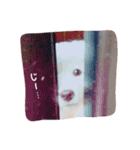 レオとルル。（個別スタンプ：6）