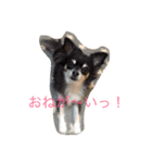 COCO杏仁（個別スタンプ：3）