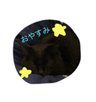 にゃーぶ（個別スタンプ：6）