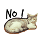 うちのねこ QLEOとみそら（個別スタンプ：13）