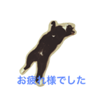 うちのねこ QLEOとみそら（個別スタンプ：16）