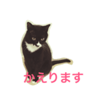 うちのねこ QLEOとみそら（個別スタンプ：21）