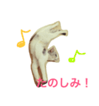 うちのねこ QLEOとみそら（個別スタンプ：22）