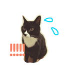 うちのねこ QLEOとみそら（個別スタンプ：25）