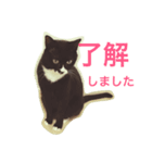 うちのねこ QLEOとみそら（個別スタンプ：30）