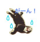 うちのねこ QLEOとみそら（個別スタンプ：32）