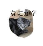 ゆうじろう、りん、ゆき、めい（個別スタンプ：2）