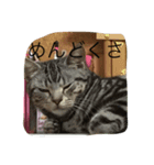 ゆうじろう、りん、ゆき、めい（個別スタンプ：5）