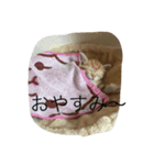 ゆうじろう、りん、ゆき、めい（個別スタンプ：6）