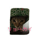 ゆうじろう、りん、ゆき、めい（個別スタンプ：8）