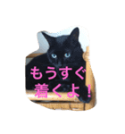 ハロウィンを楽しもう！クー＆ムー（個別スタンプ：7）