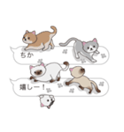 【ちか】猫だらけの吹き出し（個別スタンプ：25）