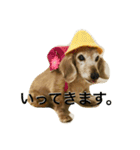 きゃんきゃん物語（個別スタンプ：2）