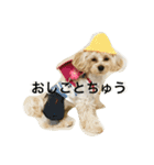 きゃんきゃん物語（個別スタンプ：3）
