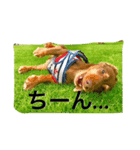 きゃんきゃん物語（個別スタンプ：12）