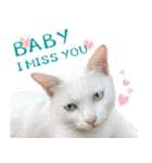 CATS Meaw Meaw（個別スタンプ：4）