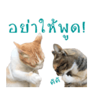 CATS Meaw Meaw（個別スタンプ：16）