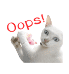 CATS Meaw Meaw（個別スタンプ：19）