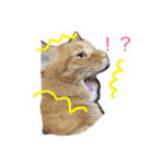 ムギムギライフ（個別スタンプ：1）