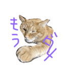 ムギムギライフ（個別スタンプ：6）