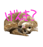 ムギムギライフ（個別スタンプ：7）