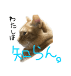ムギムギライフ（個別スタンプ：8）