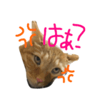 ムギムギライフ（個別スタンプ：9）